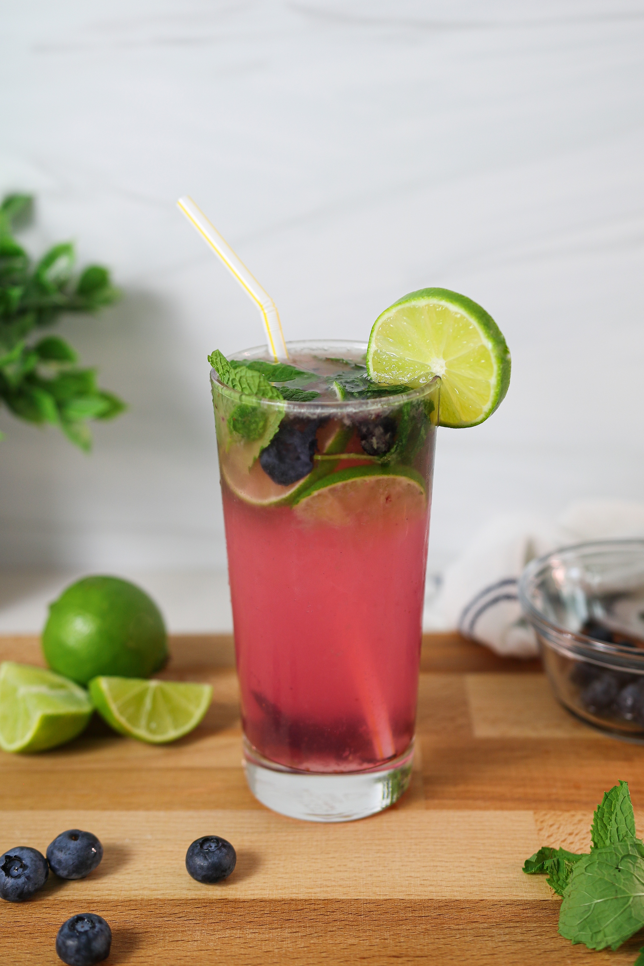 Blueberry Ginger Mojito