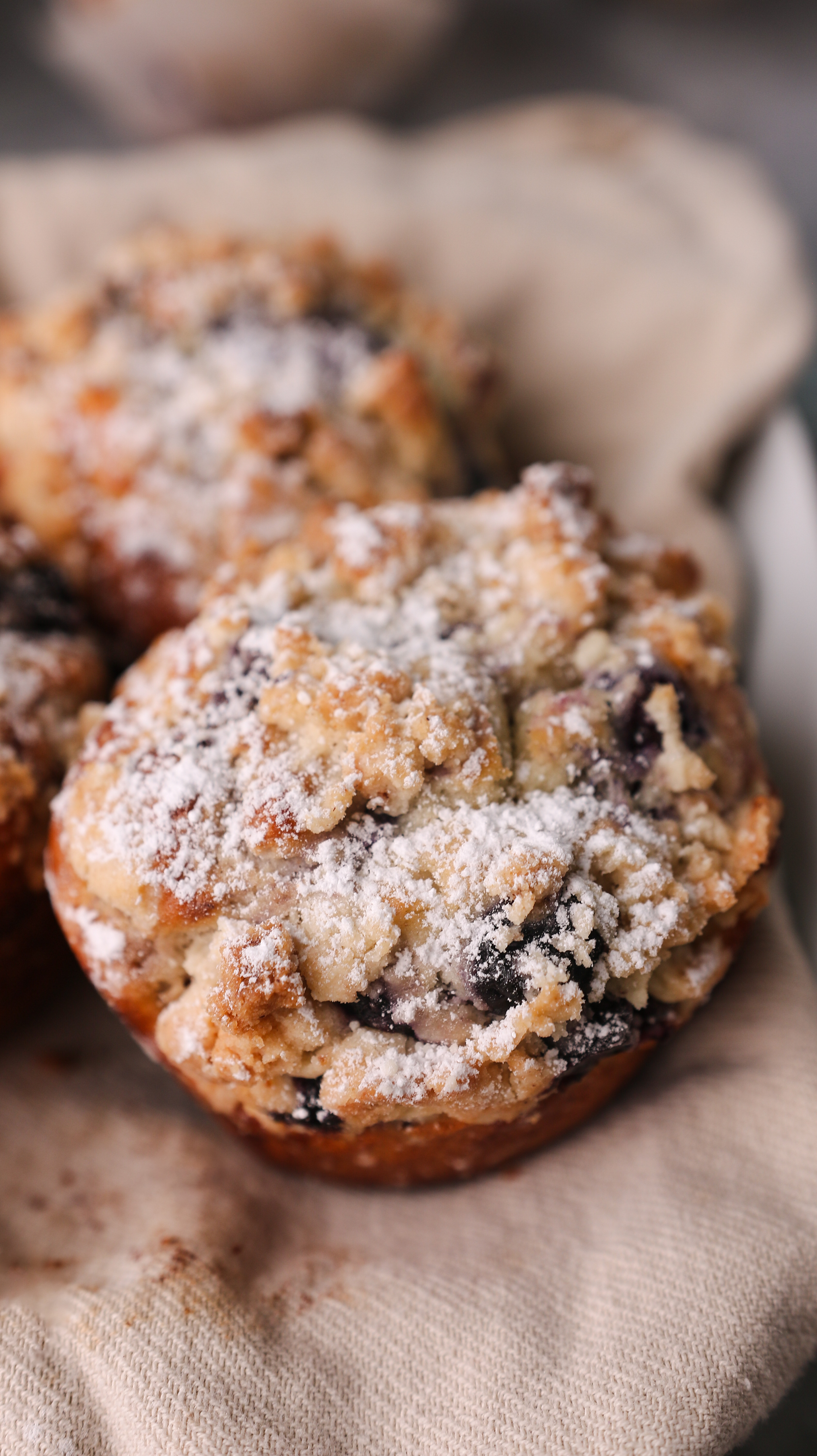 Blueberry Streusel Muffin Recipe
